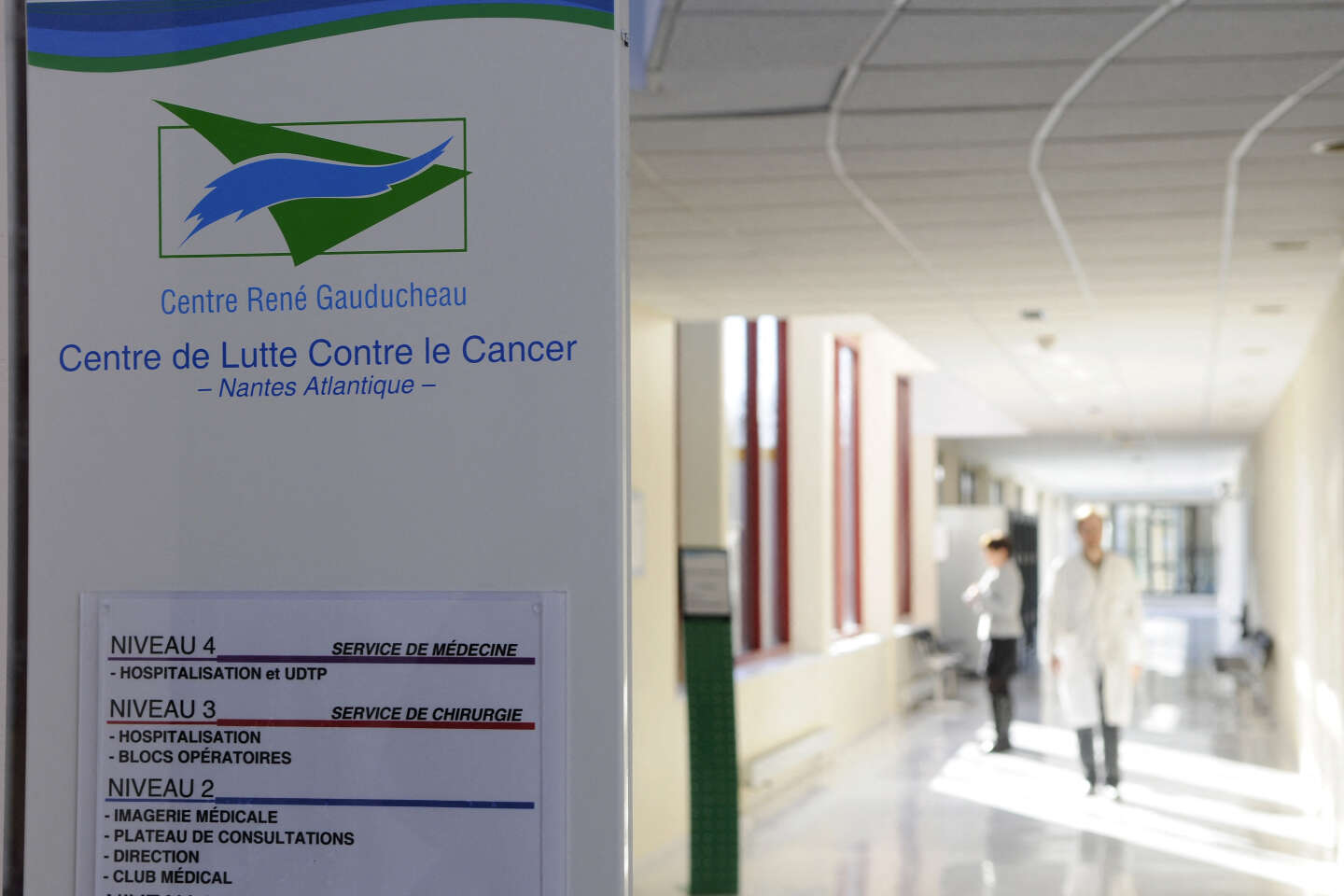 “The prevention of ENT cancers must be considered a real public health problem”