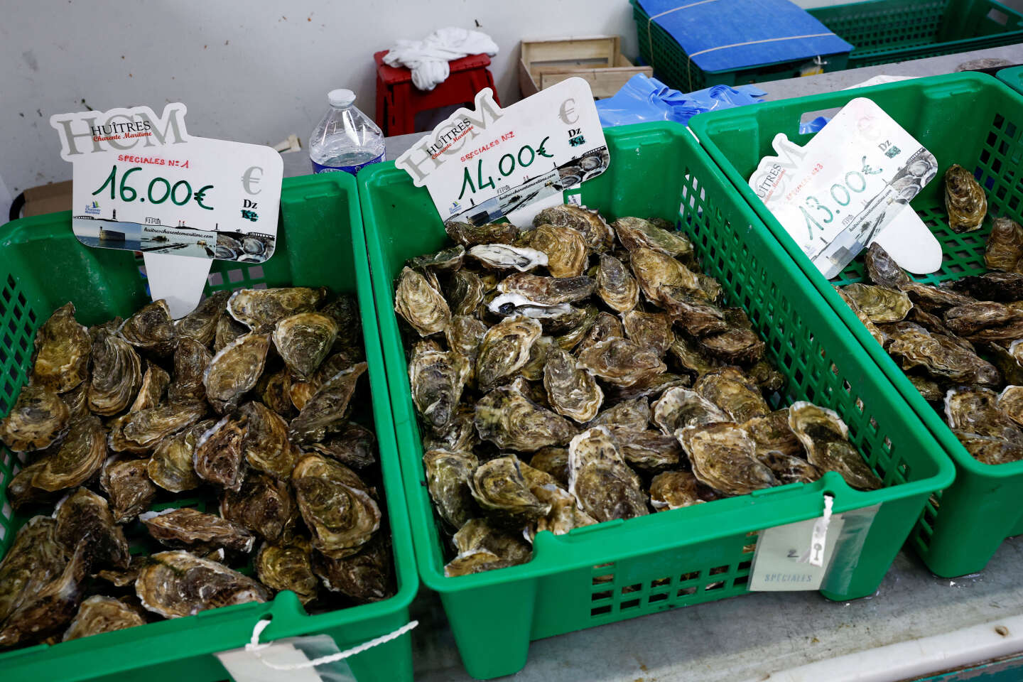 The sale of shellfish has been re-authorized by the Gironde prefecture