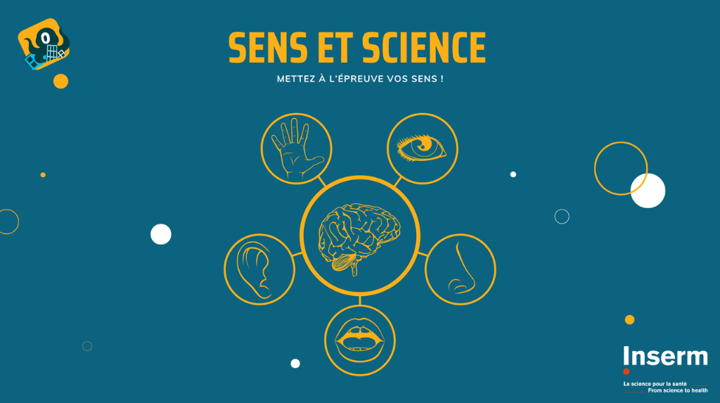 Evening of meaning and science!  · Inserm, science for health