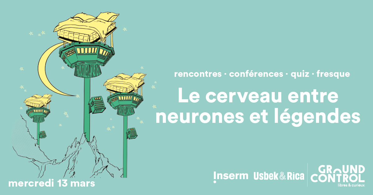 The brain between neurons and legends · Inserm, science for health